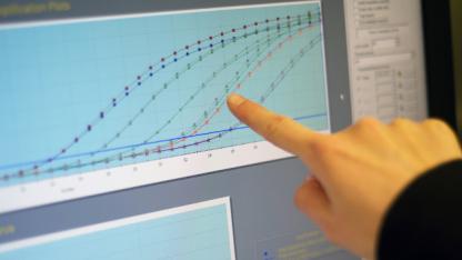 Eine Hand mit ausgestrecktem Zeigefinger zeigt auf ein Kurvendiagramm auf einem Computerbildschirm